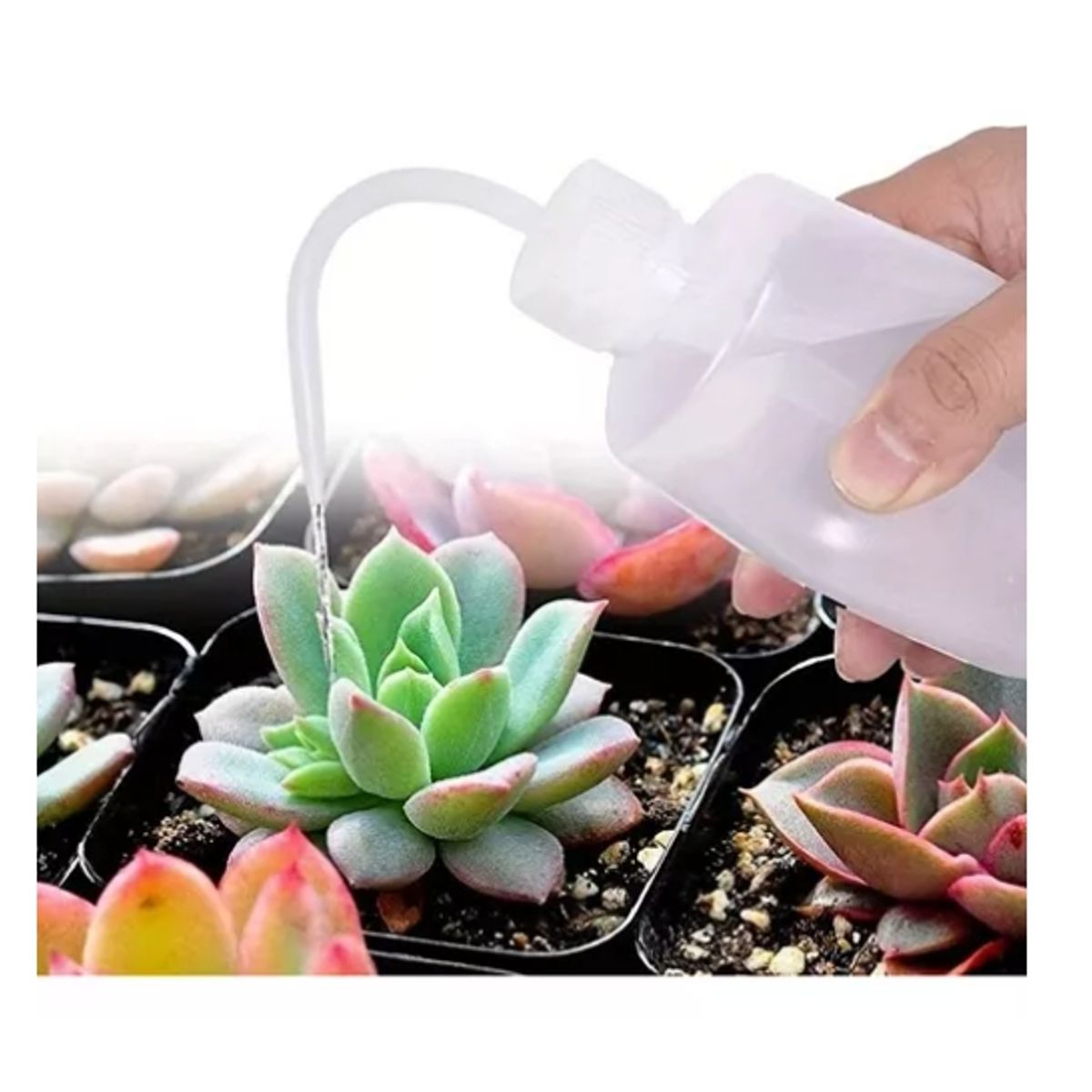 ESHOPANGIE - Kit Mini Herramientas Plantas Jardinería Suculentas 15piezas