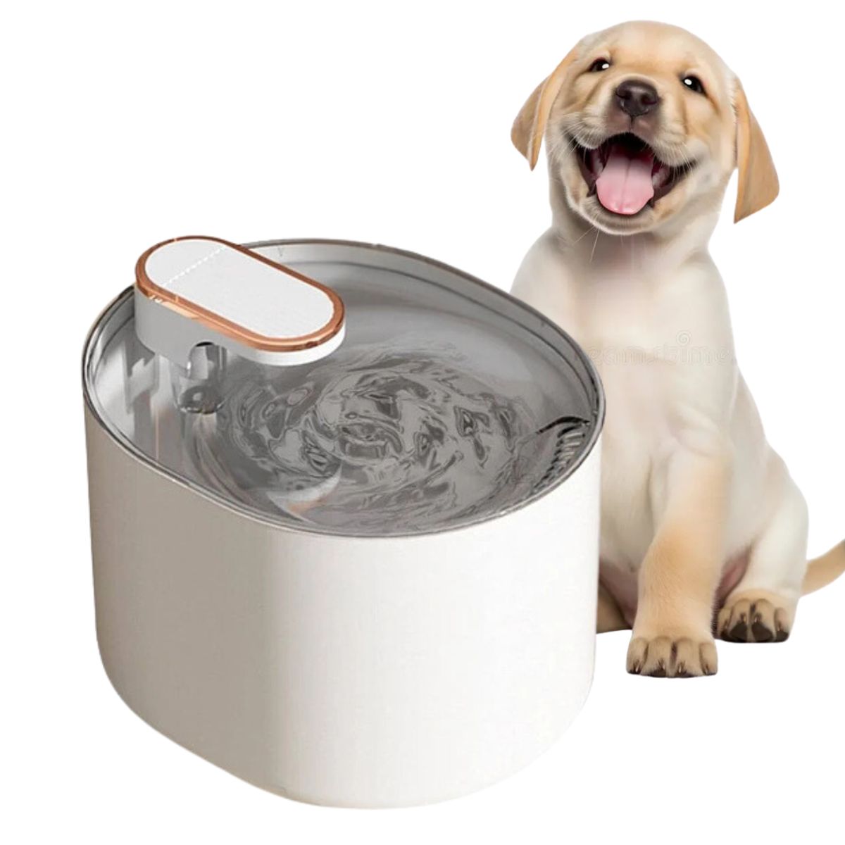 CRUSEC - Bebedero Automático Gatos Perros Fuente Agua 3L