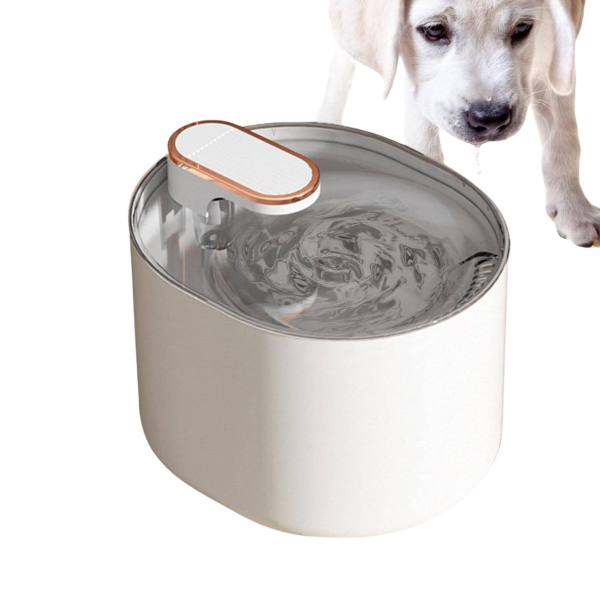 CRUSEC - Bebedero Automático Gatos Perros Fuente Agua 3L