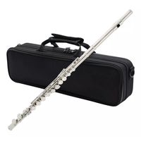 Flauta,flauta Traversa De Níquel C Célula Cerrada 16 Hoyo.