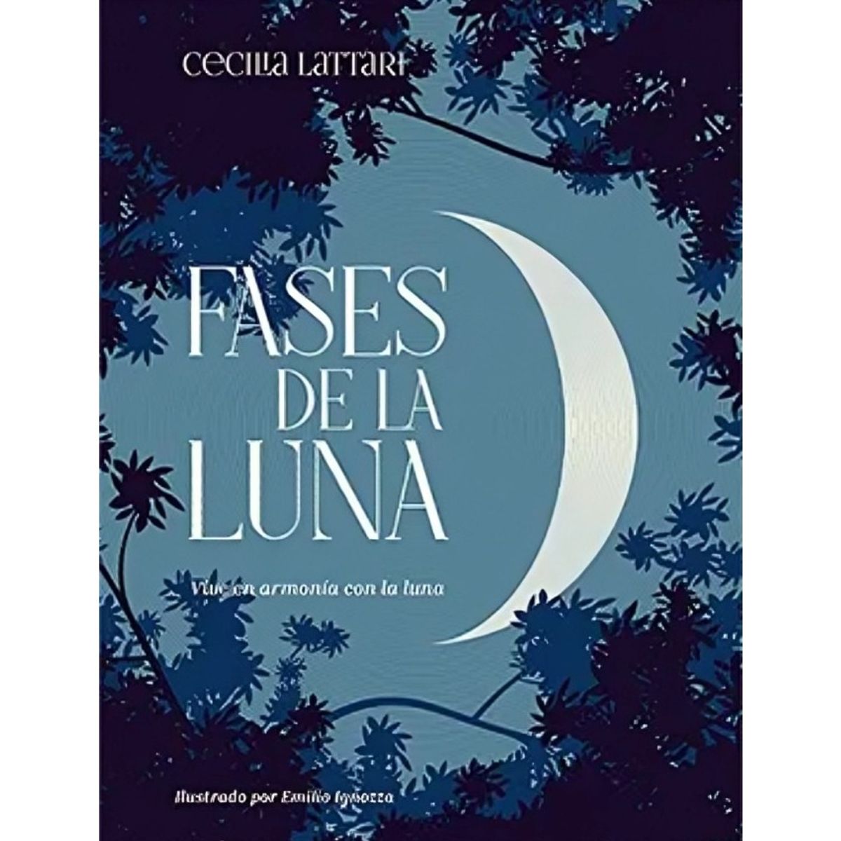 TOP10BOOKS - LIBRO Fases De La Luna - Fases De La Luna