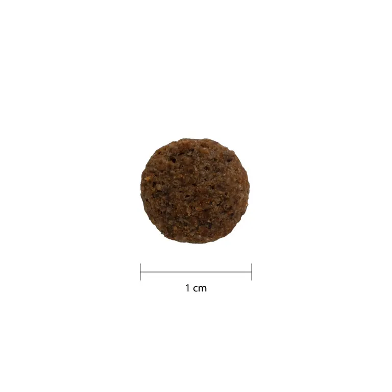 PlaqueOff Dental Bites Gatos 60 gr