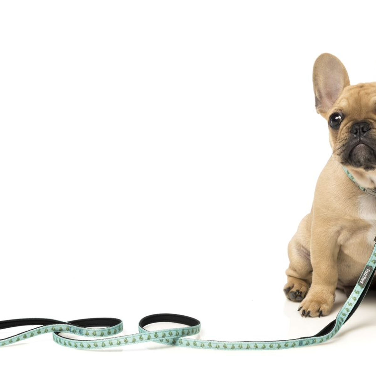 GENERICO - Correa Fuzzyard para perros TUCSON 1,4 mt