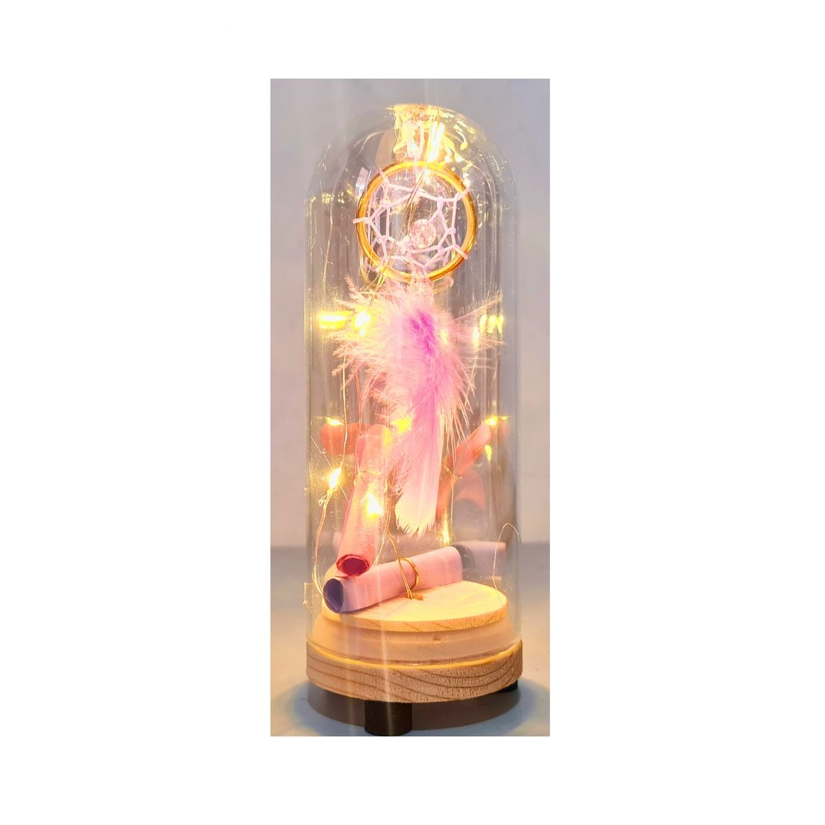 GENERICO - Pluma En Cúpula De Vidrio Con Luces  Pilas Bolsa Regalo