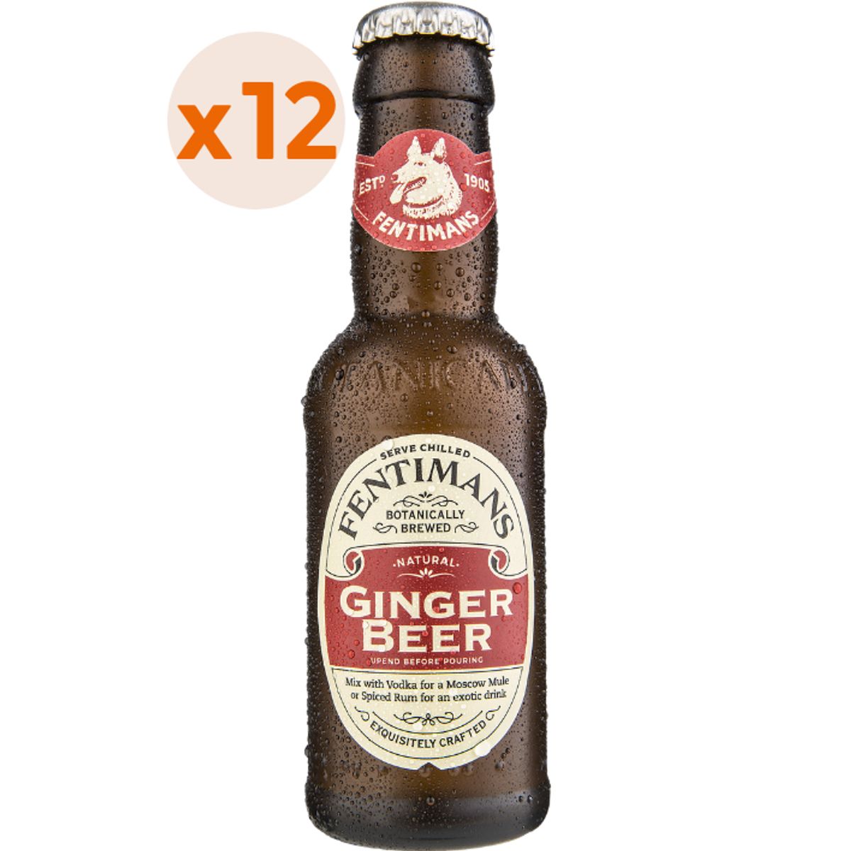 FENTIMANS - 12x Ginger Beer Fentimans 200cc
