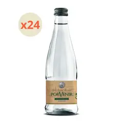 PORVENIR - 24x Agua Mineral Con Gas Botella Vidrio 330cc