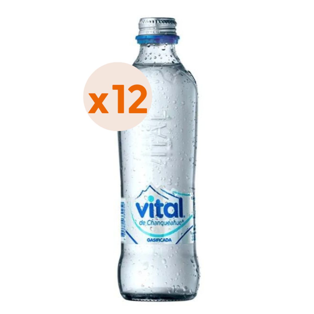 VITAL - 12x Agua Vital Con Gas Botella Vidrio 330cc