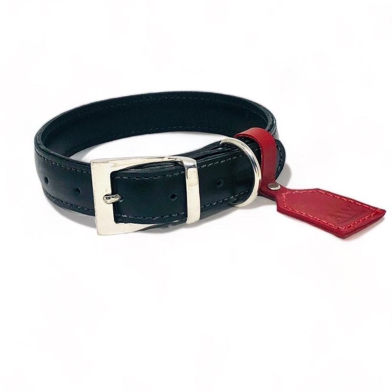 GENERICO - Collar  para perro  Animal West talla L