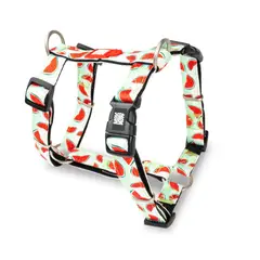 MAX & MOLLY - Arnés Perro M 15-25kg Watermelon Max and Molly