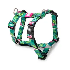 MAX & MOLLY - Arnés Perro L 25-40kg Tropical Max and Molly