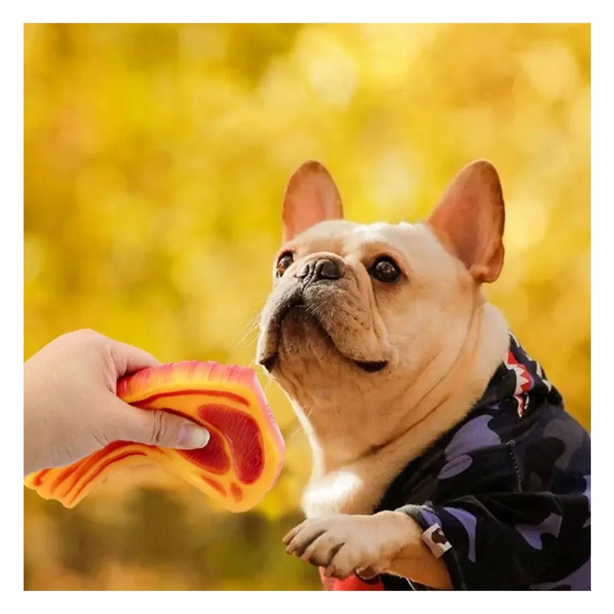 GENERICO - Juguete Chuleta Con Sonido Para Mascota Perro