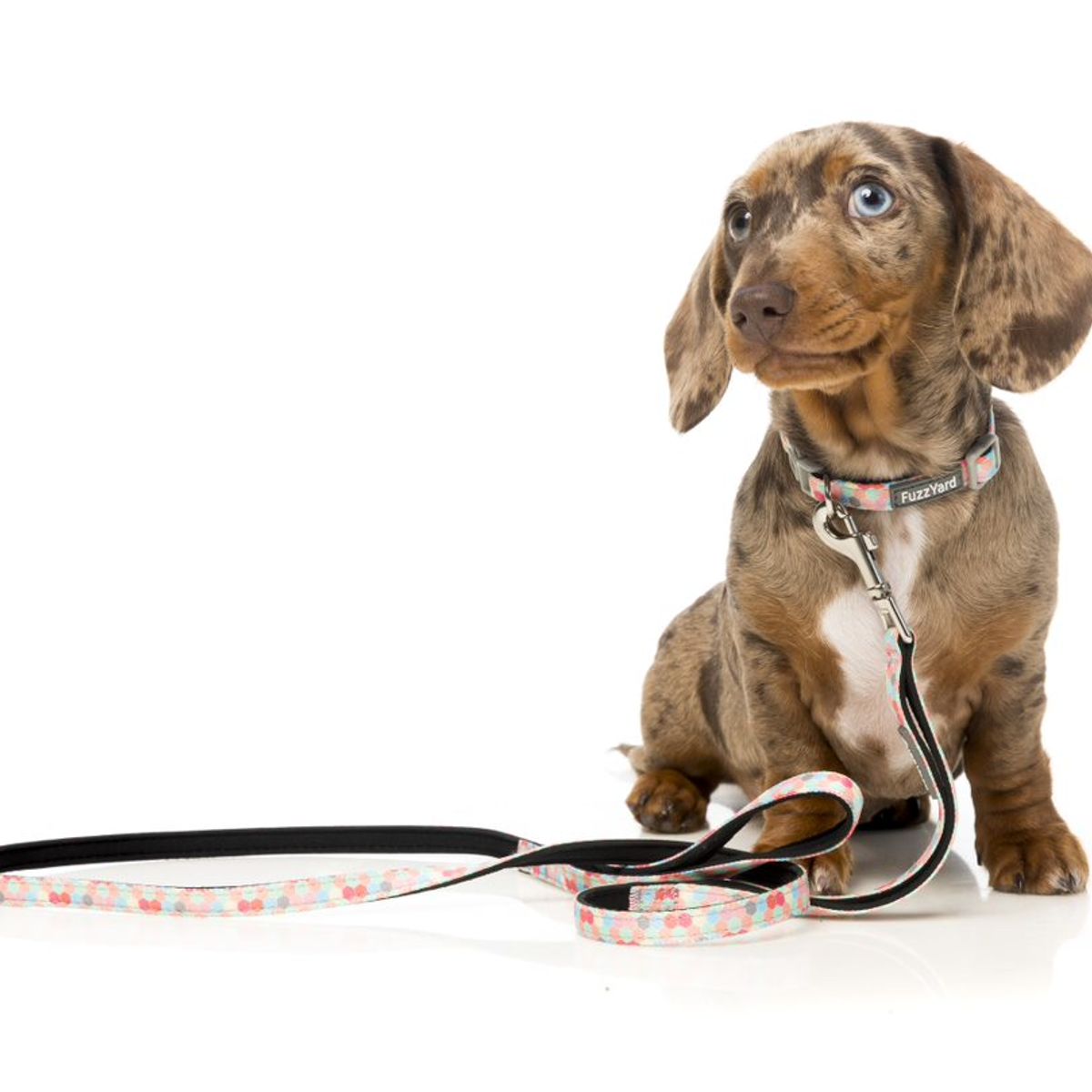 GENERICO - Correa Fuzzyard para perros THE HIVE 1,4 mt