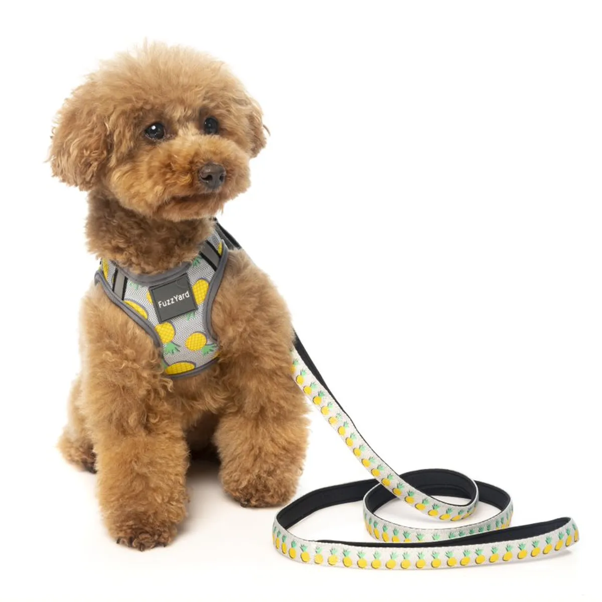 GENERICO - Correa Fuzzyard para perros PIÑA COLADA 1,4 mt