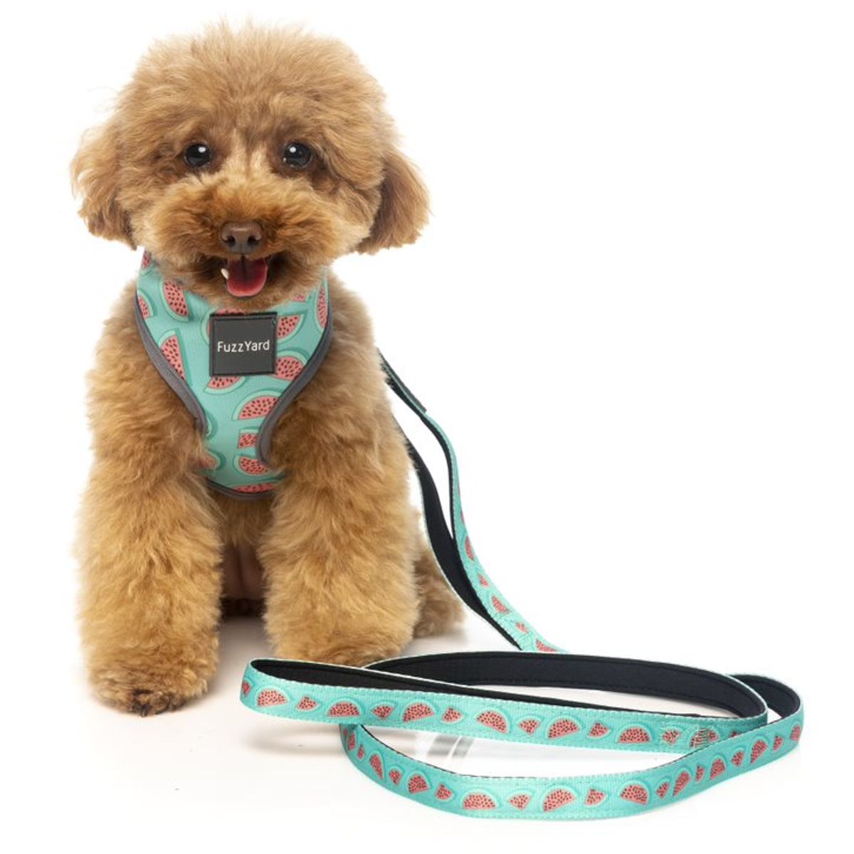 GENERICO - Correa Fuzzyard para perros SUMMER PUNCH 1,4 mt