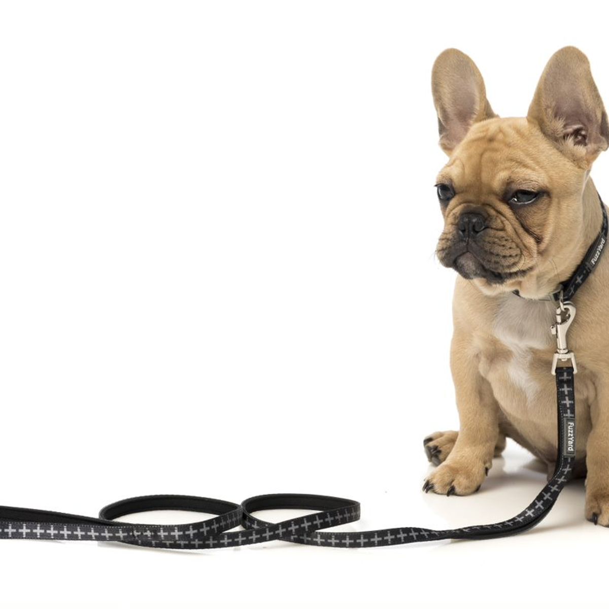 GENERICO - Correa Fuzzyard para perros YEZZY 1,4 mt