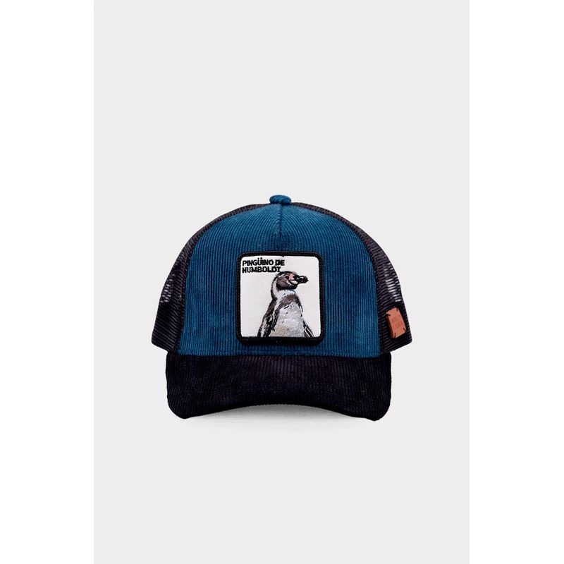 WILD LAMA - Jockey Pingüino Algodón Orgánico Petróleo Wild Lama Kids