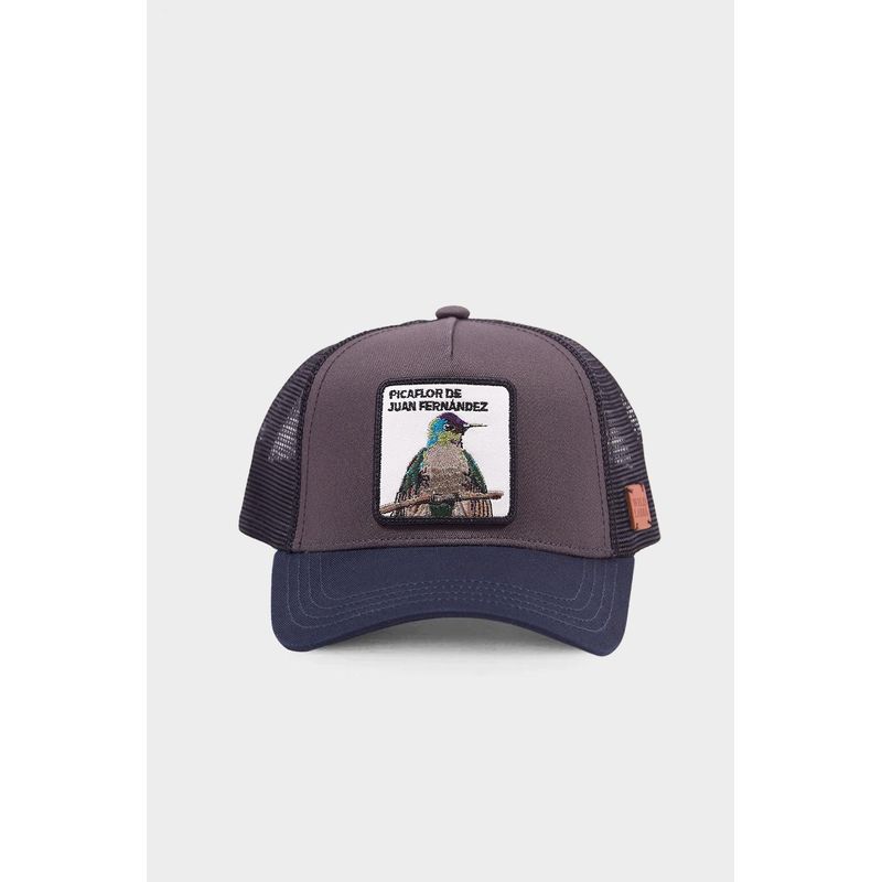WILD LAMA - Jockey Picaflor Algodón Orgánico Gris Wild Lama Kids