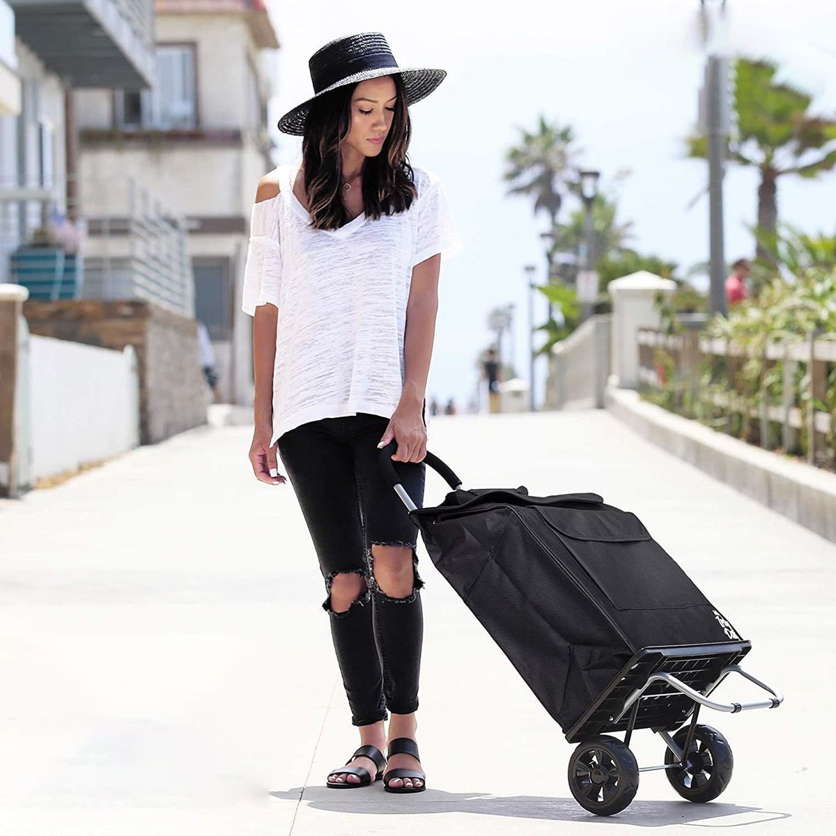CARRY ALL - Carrito De Compras Plegable Bigger Trolley Dolly