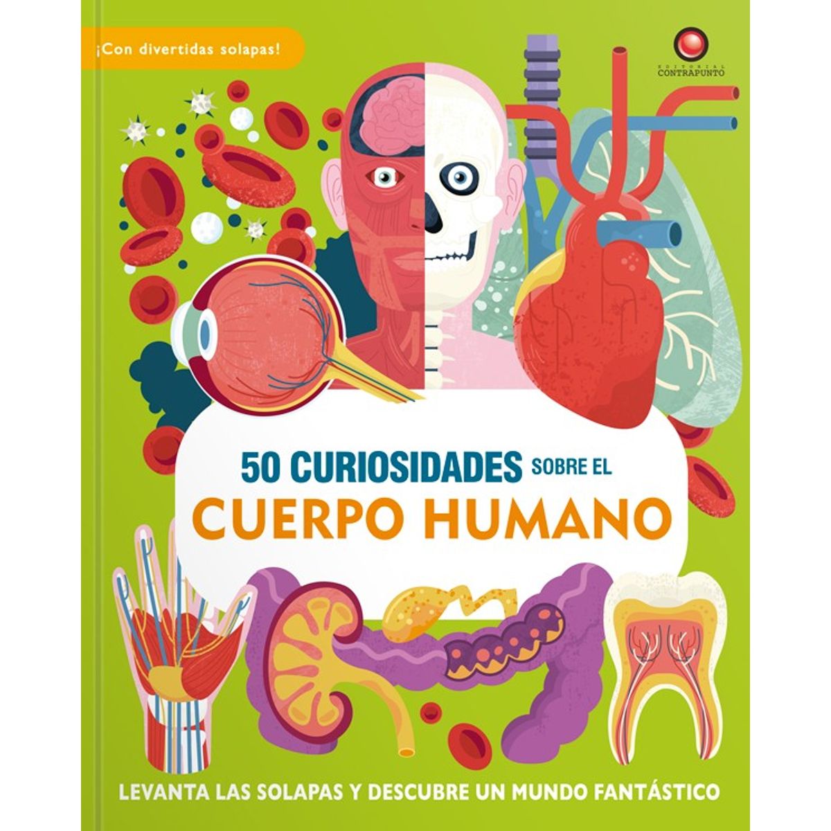 EDITORIAL CONTRAPUNTO - 50 curiosidades Sobre El Cuerpo Humano