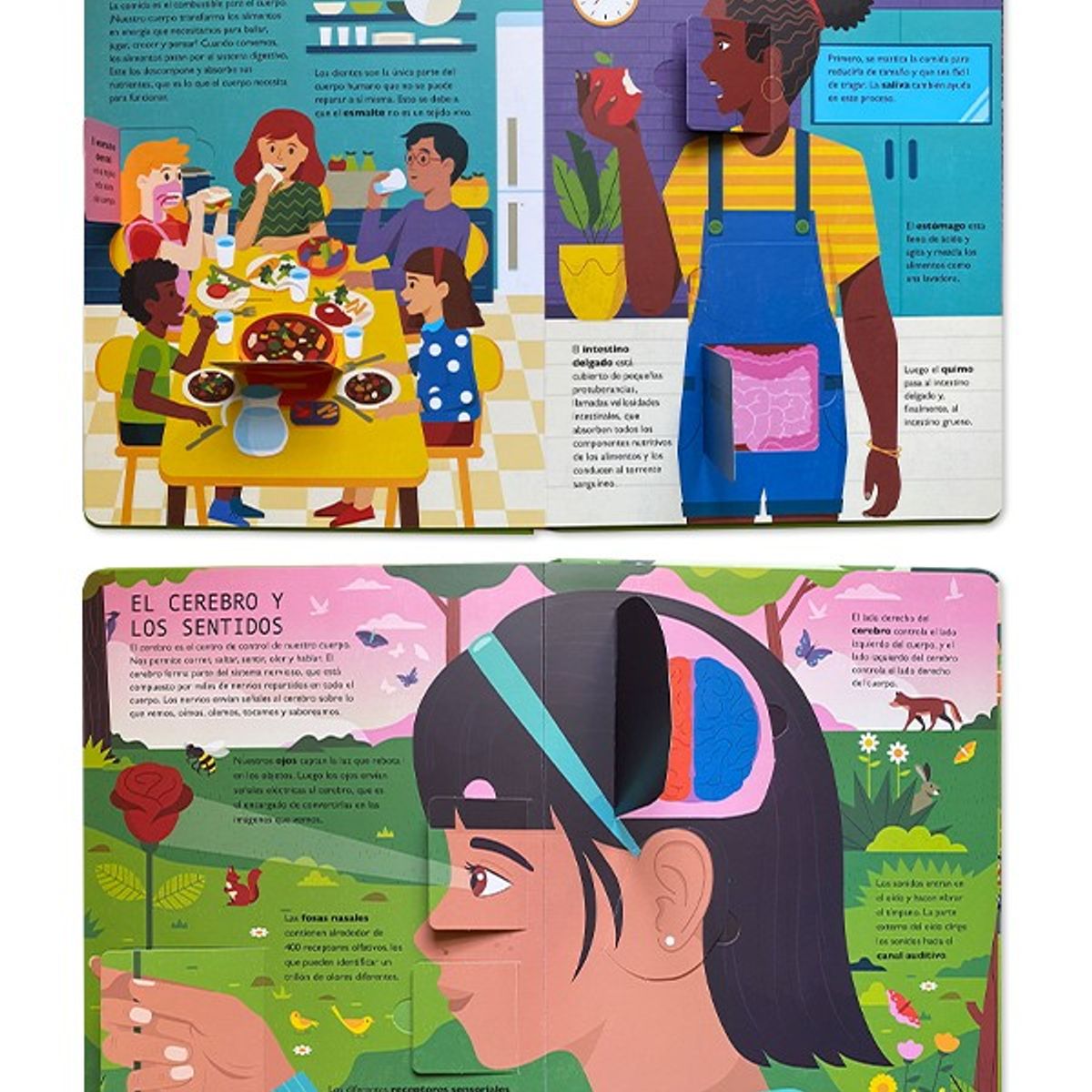 EDITORIAL CONTRAPUNTO - 50 curiosidades Sobre El Cuerpo Humano