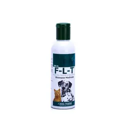 DRAG PHARMA - FLT Shampoo 150 ml
