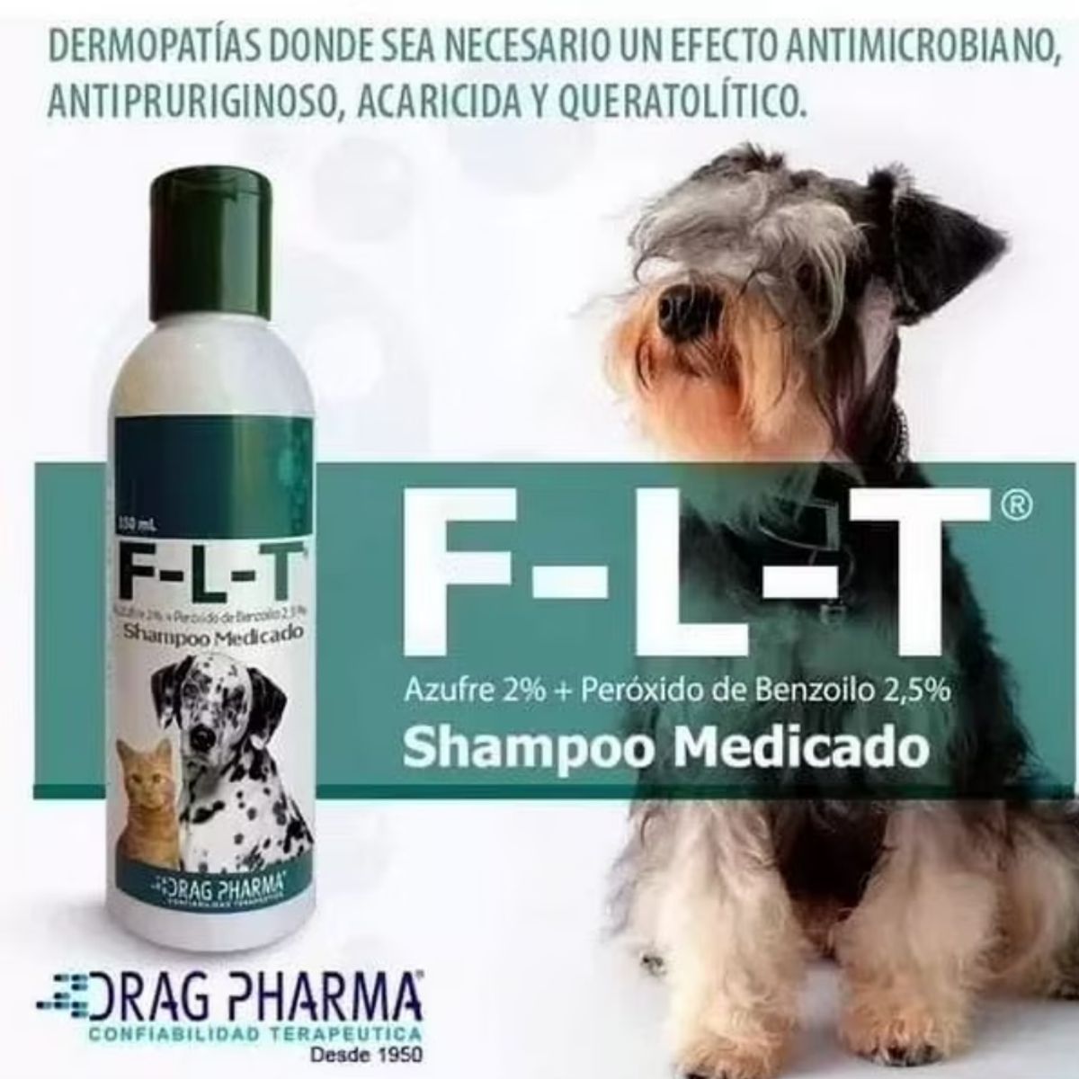 DRAG PHARMA - FLT Shampoo Drag Pharma 150 ml
