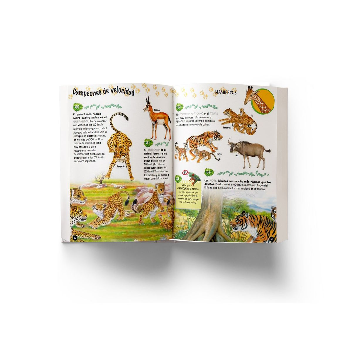 EDITORIAL GUADAL - 500 PREG Y RESP SOBRE LOS ANMALES