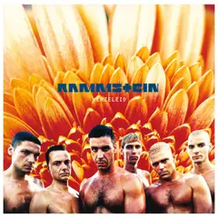 HITWAY MUSIC - RAMMSTEIN - HERZELEID 2LP - VINILO