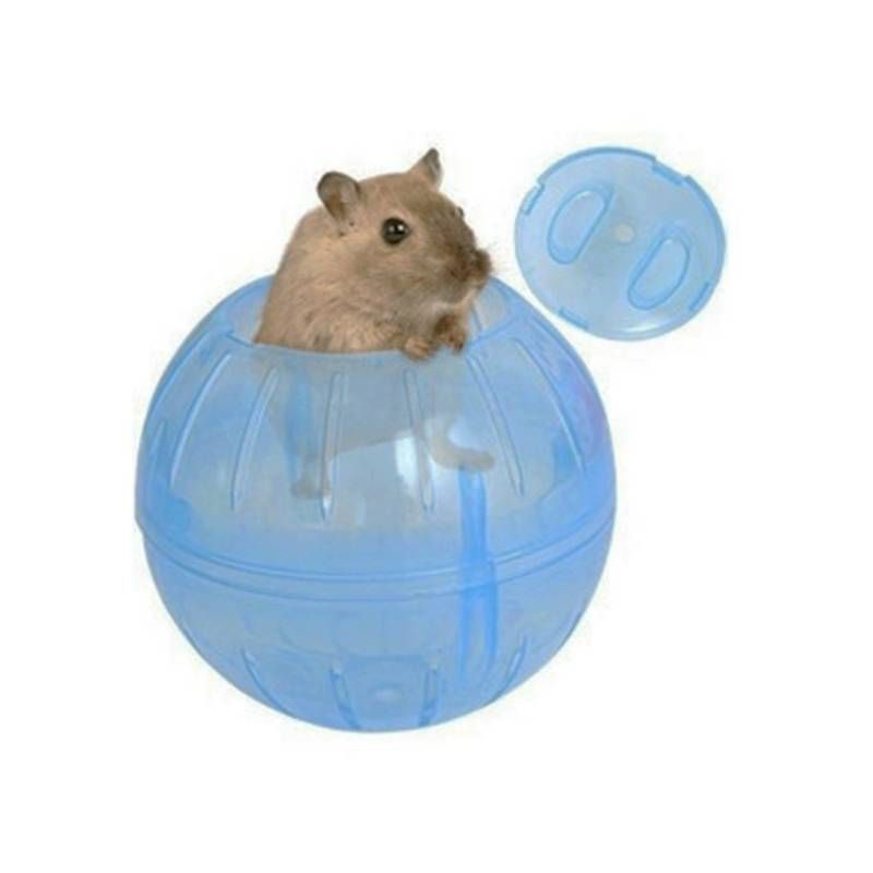 GENERICO - Rueda Silenciosa Pará Hamster Erizos Cuy 12cm