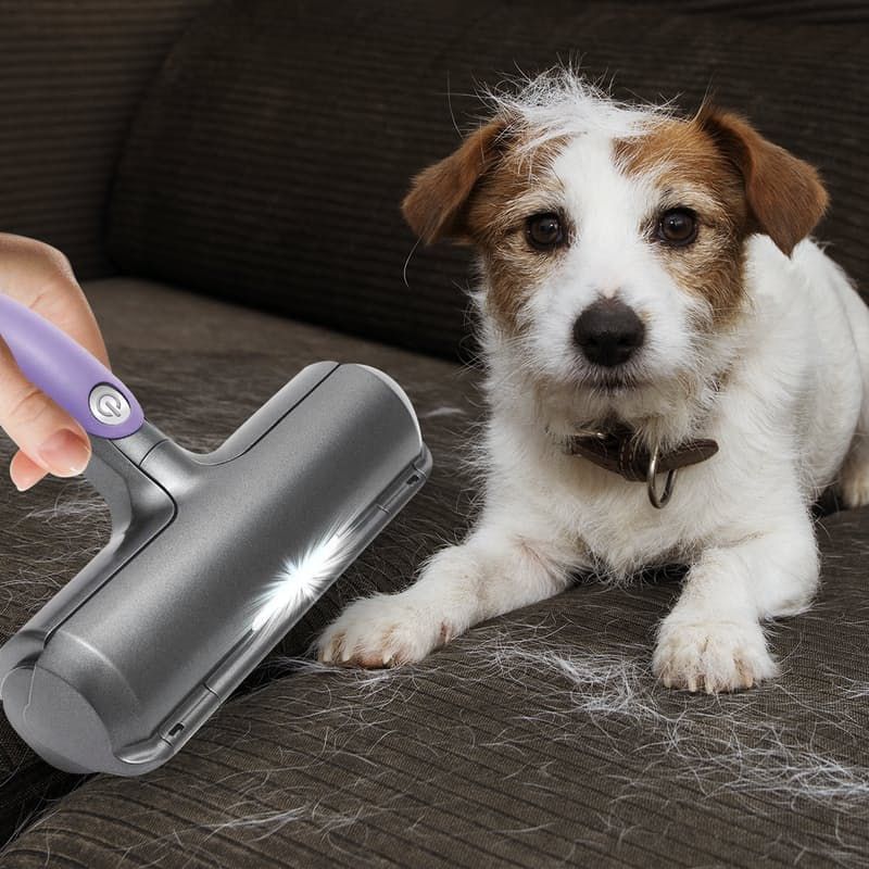 GENERICO - Cepillo Removedor De Pelos Mascotas Quita Pelos Muebles Ropa