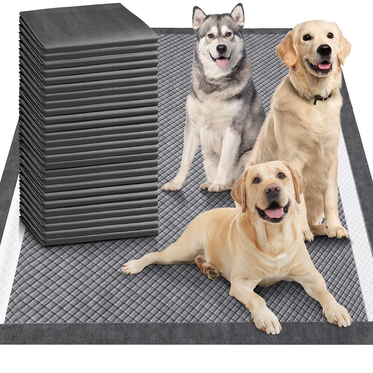 EVERSO - 40 Pañales Tipo Sabanillas Mascotas PerrosYGatos 60x60CmL