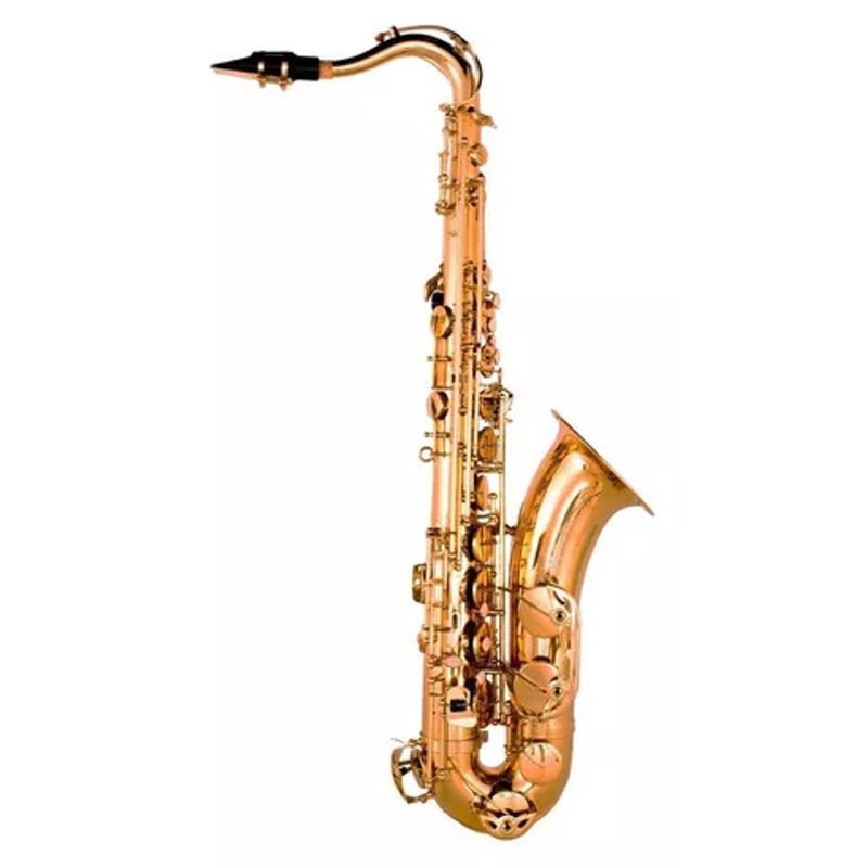 FONTAINE - Saxofón Tenor Profesional Fontaine FT 6435 L