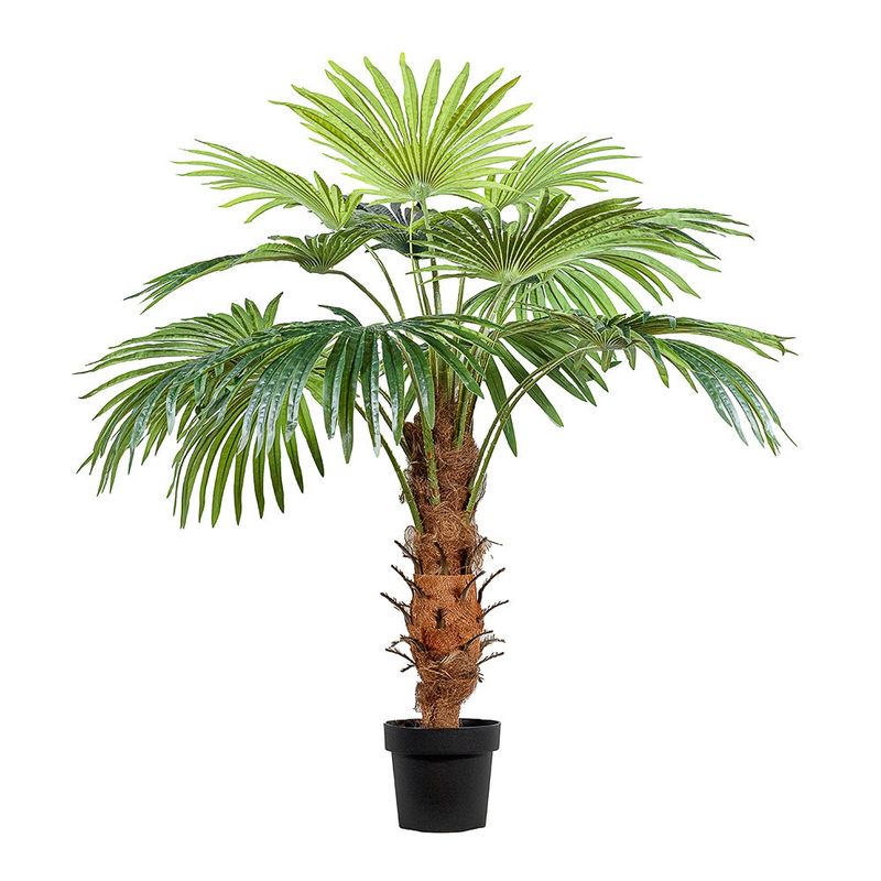 THE GARDEN - PALMERA ABANICO 120 CM 15 HOJAS