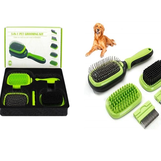 GENERICO - KIT DE ASEO PARA MASCOTAS 5  EN  1 (CEPILLOS )