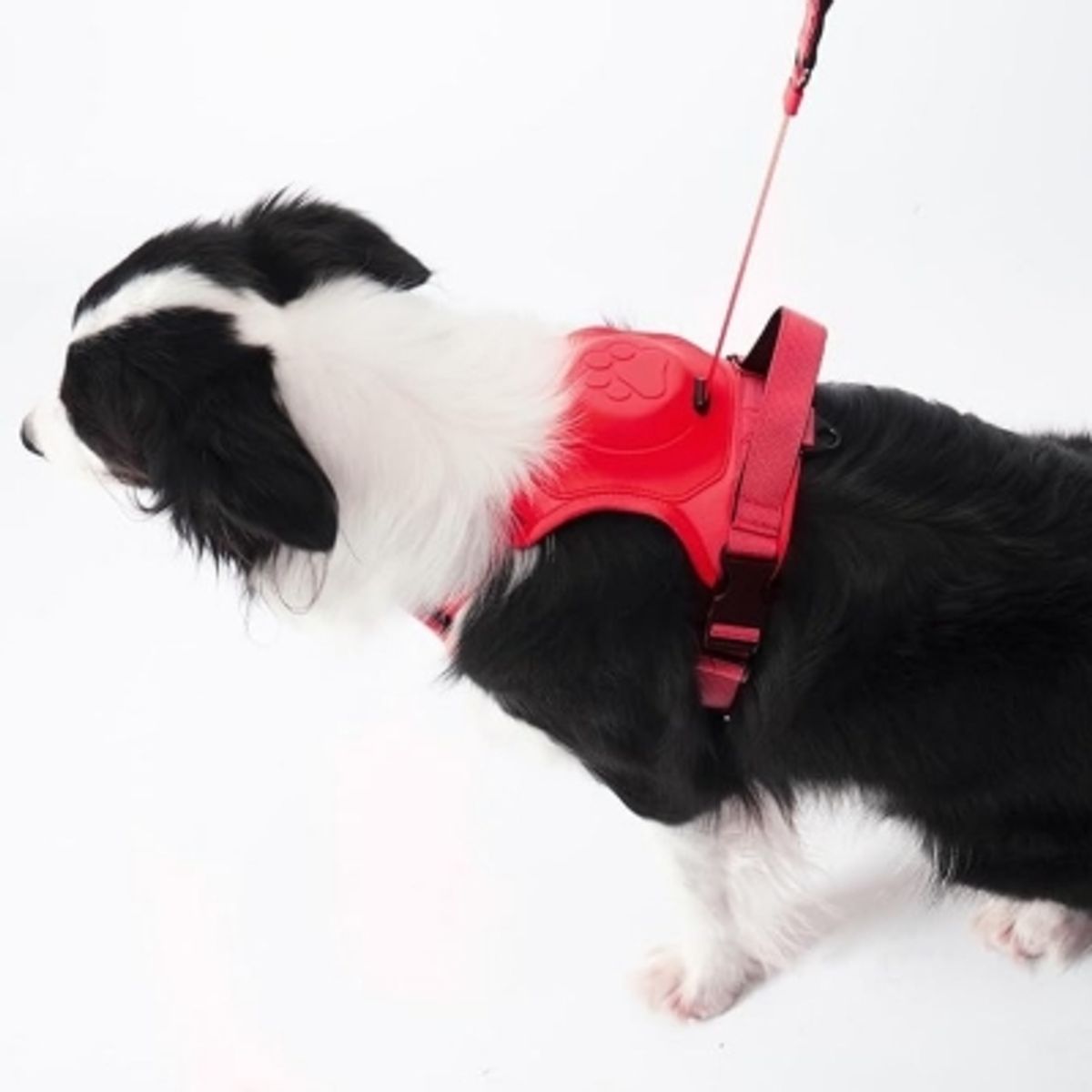 GENERICO - Arne Para Perros Arnes De Perro Arne Perro Correa Pechera L