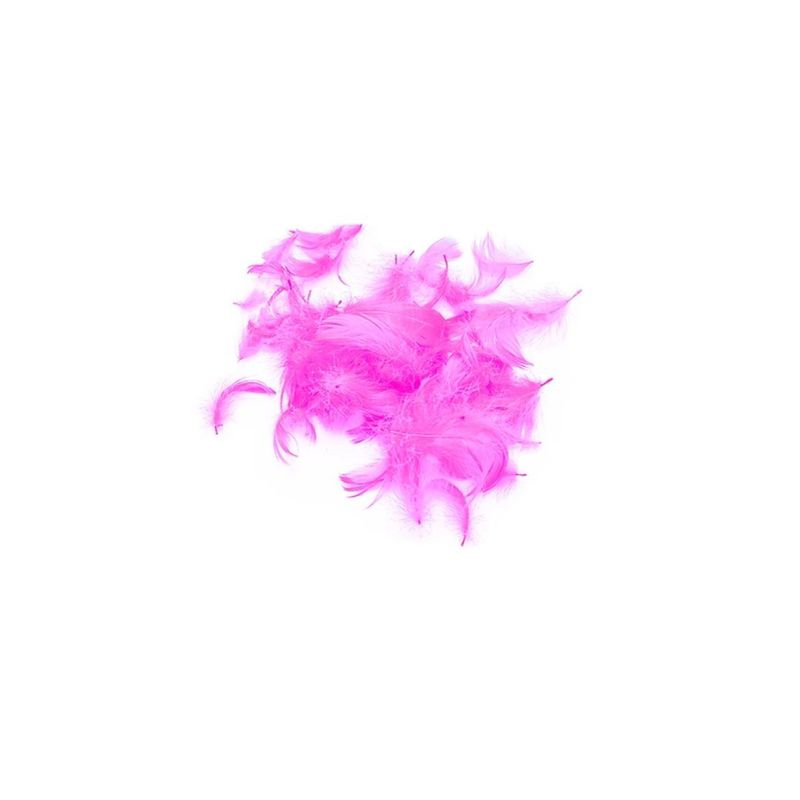 GENERICO - Plumas Decorativas Fucsia 100pcs