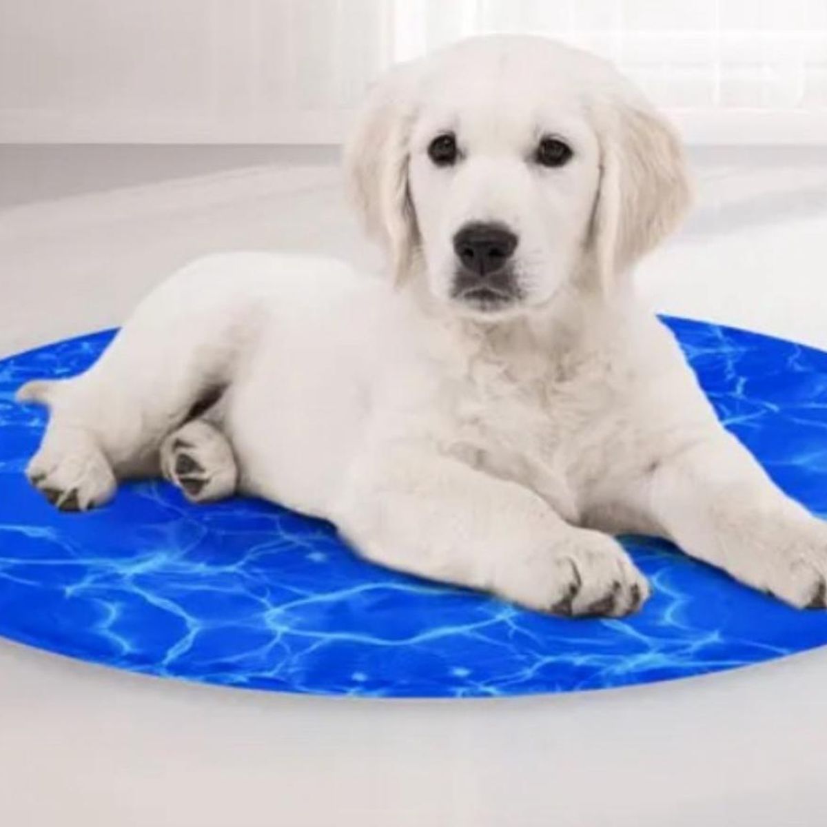 GENERICO - Alfombrilla Cama Manta Redonda Refrescant Para Mascotas 60cm