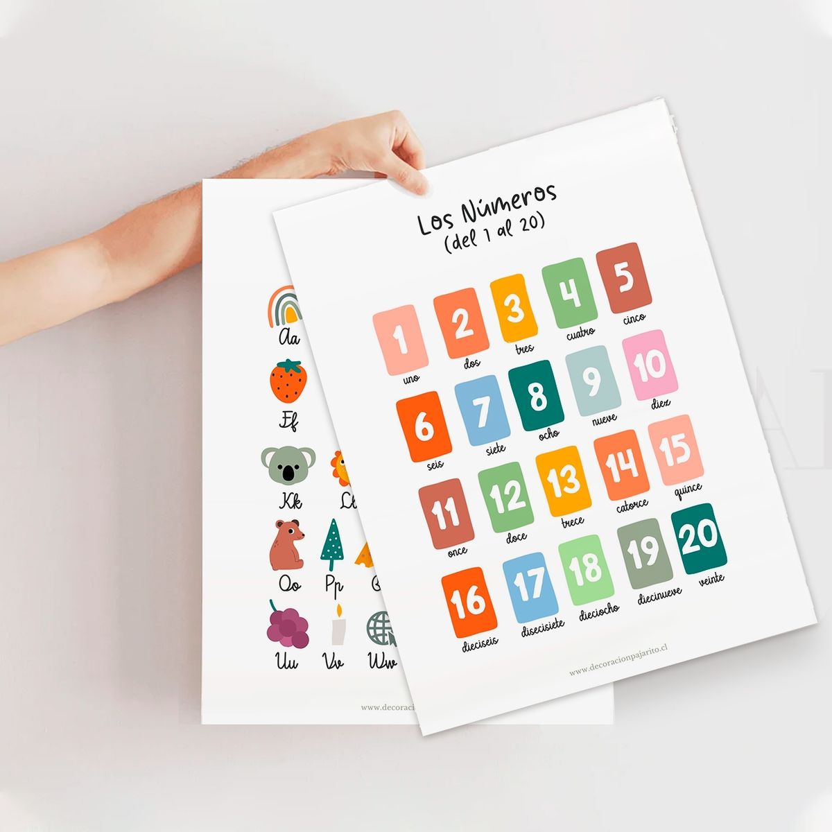 DECORACION PAJARITO - Láminas aprendizaje abecedario y números 30x40 cms Decoración Pajarito