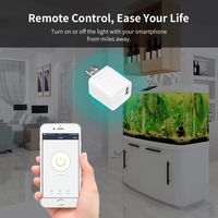 Adaptador micro USB WiFi tuya micro de 5V