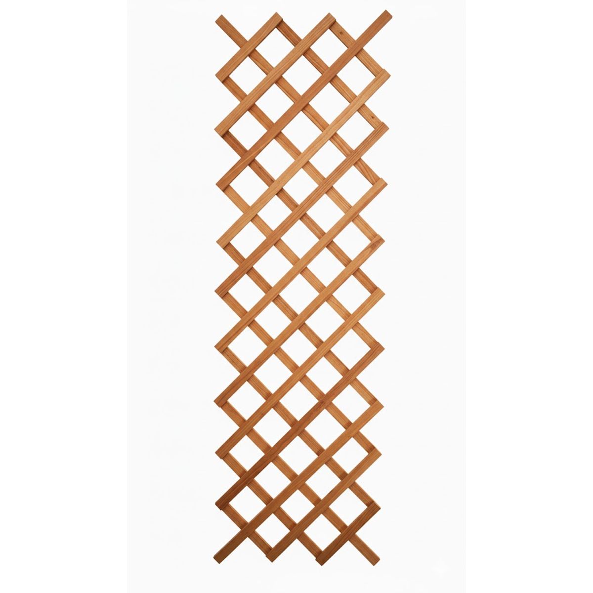 GENERICO - PACK 3 UN: Enrejado Madera SIN MARCO 60x180 cm