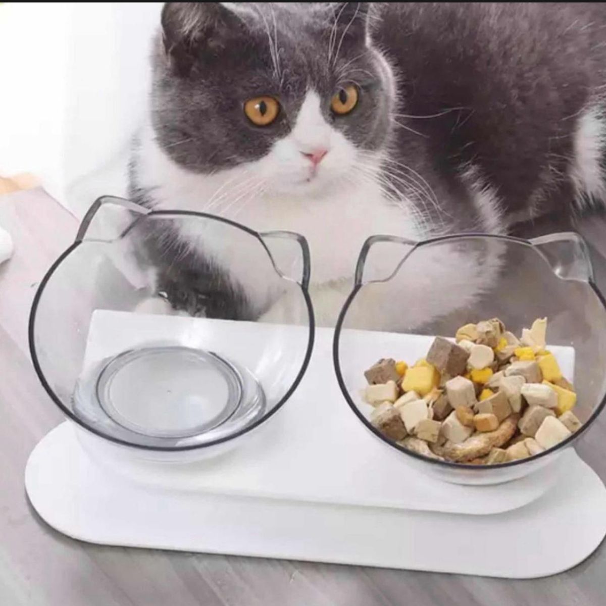 GENERICO - Plato Cuenco Antideslizante Para Gatos Mascotas Plato Blanco