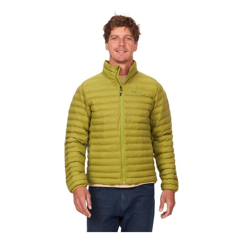 うえちゃん　Marmot Greenpoint Featherless うえちゃん Marmot Greenpoint Featherless うえちゃん Marmot