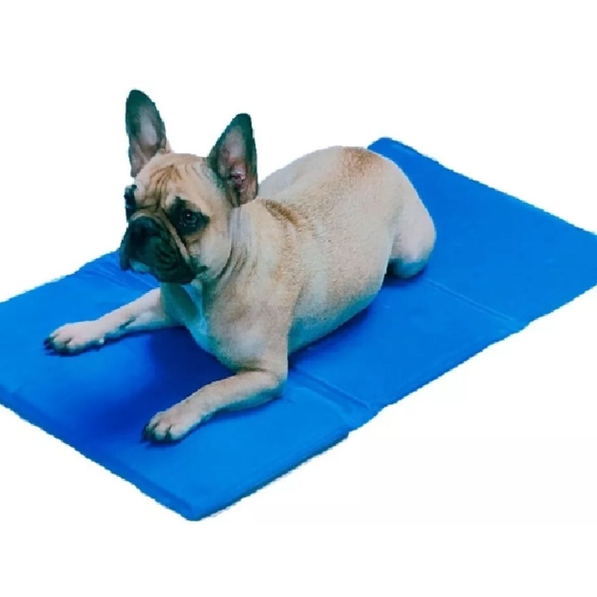 GENERICO - Manta Refrigerante Para Mascotas 65x50cm