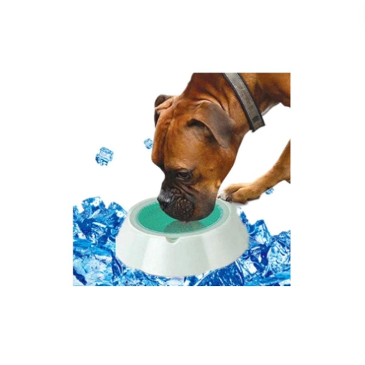 GENERICO - Plato Bowl Verano para mascotas