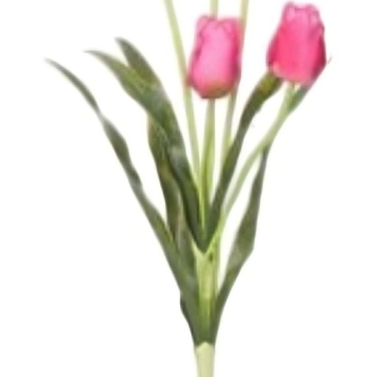 OEM - Set x 2 Luz Nocturna Ambiental Led Tulipán