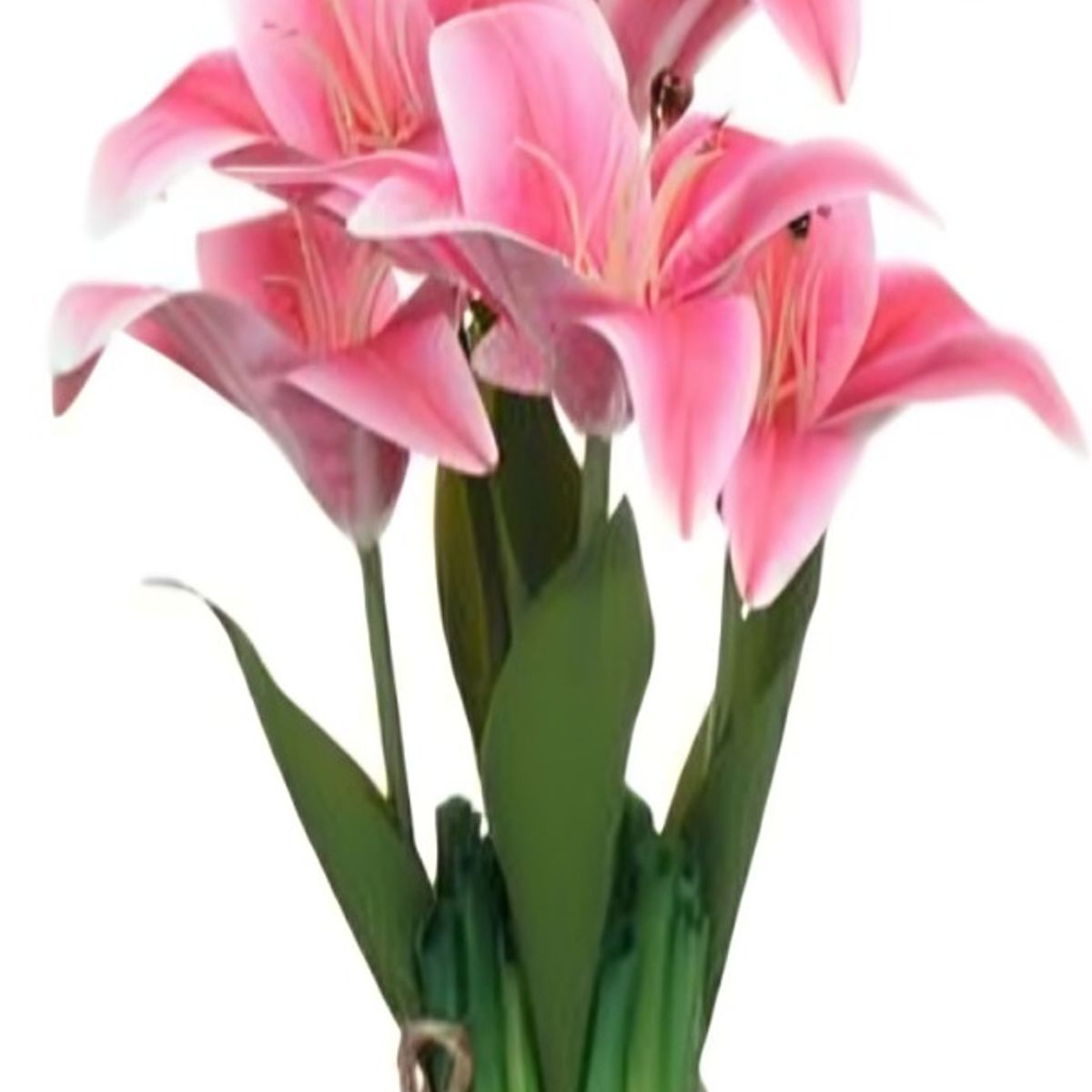 OEM - flores artificiales de Lirios de tallo largo 33x 6cm