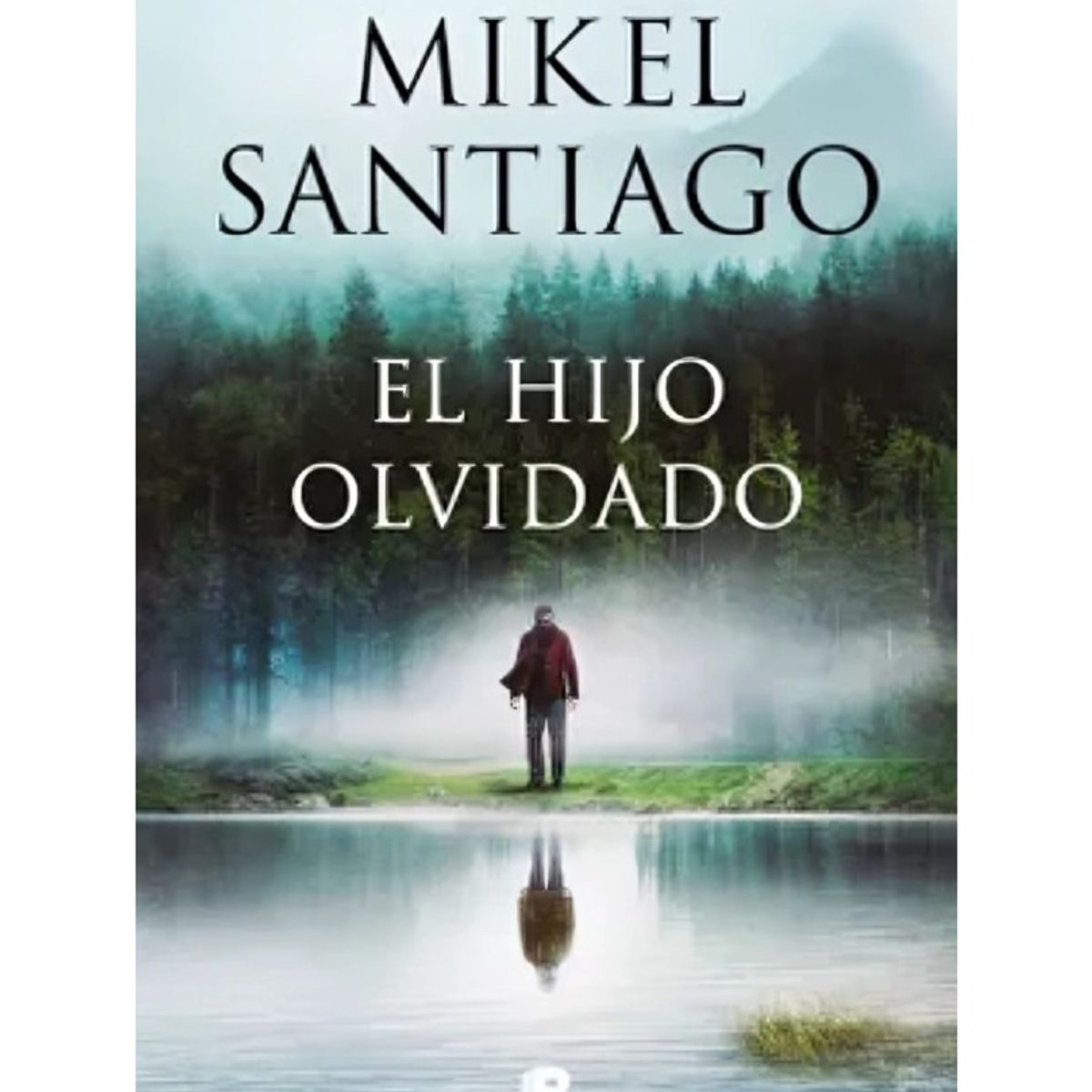 TOP10BOOKS - LIBRO El Hijo Olvidado - El Hijo Olvidado