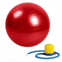 Pelota Balon 75 Cm Pilates Yoga + Inflador Pelota roja