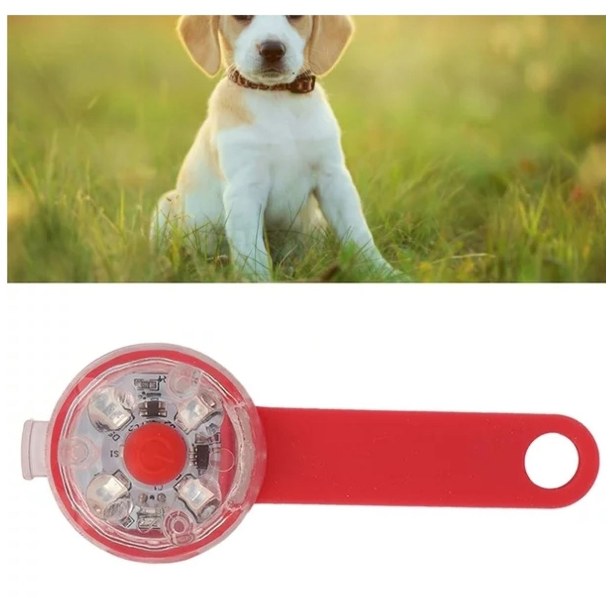 GENERICO - Collares De Perro Con Luz LED De Alta Capacidad Rojo
