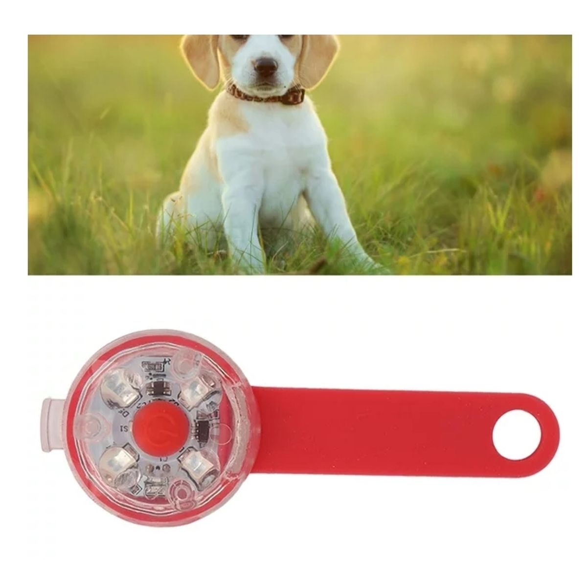 GENERICO - Collares De Perro Con Luz LED De Alta Capacidad Rojo